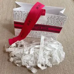 DIOR ギフトバッグ ショッパー リボン付き