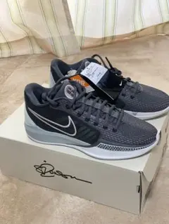 Nike Sabrina 1バスケットボールシューズ グレー