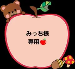 みっち様専用です!