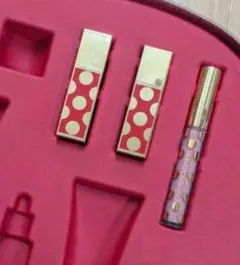 ESTEE LAUDER 2025　リップ＆グロス