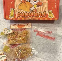大人気♡pupuland サクサク揚げ物 スクイーズ　韓国チキン　ミニスクイーズのサムネイル