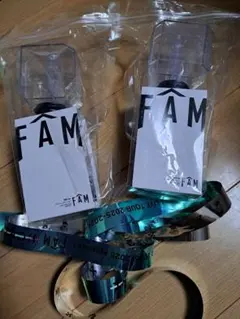 timeleszペンライト 2本セット 銀テ１本つき！FAM