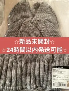 straykids スキズ　ペンミ　グッズ　ウルフチャン　バンチャン　ビーニー