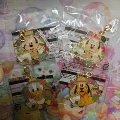 ディズニーランド　チャームセット４点