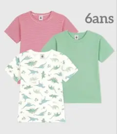 新品 未使用 プチバトー 半袖 Ｔシャツ 恐竜 ３枚組 6ans