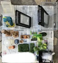爬虫類　飼育セット　まとめ売り 爬虫類飼育セット - メルカリ