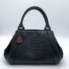 めろ様専用 新品未使用 美品 定価約22万 JRA オーストリッチ バッグ①