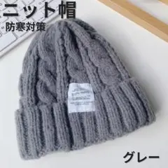 ケーブル ニット帽 もこもこ 防寒 冬 レディース 韓国風 グレー あったか帽子
