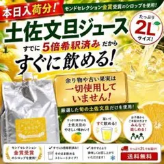 約50玉使用】1日3本限定 高知県産土佐文旦100%果汁2L 5倍希釈 無添加