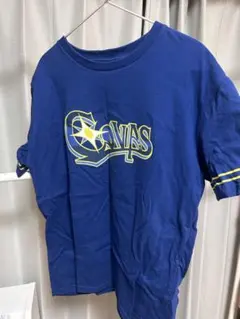 Item thumbnail for item b56ea672-c1e0-4e68-b17a-2f578fce1364