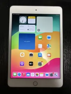 iPadmini 第5世代 64GB セルラーモデル SIMロック解除済