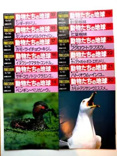 2025年最新】動物たちの地球の人気アイテム - メルカリ