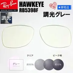 Item thumbnail for item 34a4e611-1f04-4433-9a54-4ba932c3a4ae