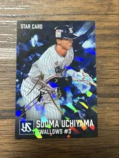 東京ヤクルトスワローズ カルビー プロ野球チップス 内山壮真 金箔サイン