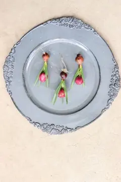 原種のチューリップ3個セット