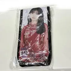 Item thumbnail for item 572896a3-a17f-4937-8520-543fc75819d8