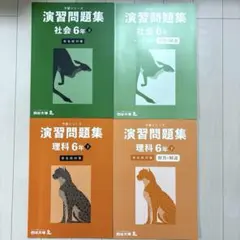 かたくちいわし様専用 四谷大塚　予習シリーズ 演習問題集　　　　　　　6年生下