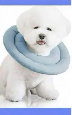 【ブルー,Mサイズ】エリザベスカラー 犬 猫 引っ掻き防止 ソフト 調整可能