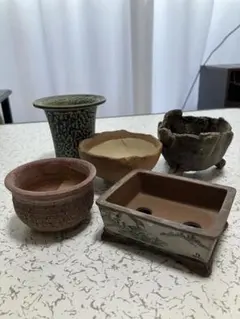盆栽鉢 山野草鉢5点セット 陶器 植木鉢のサムネイル