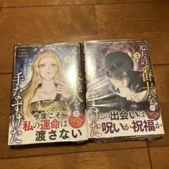 はらぺこ母ちゃん様 リクエスト 2点 まとめ商品