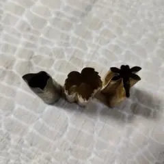 Item thumbnail for item 38e08ddb-8b2b-4980-90c2-30740478c13f