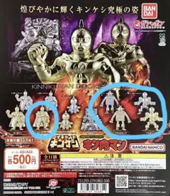 キン肉マン ダイキャストキンケシ11 　　5種類+おまけ1体