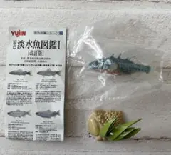ユージン 原色淡水魚図鑑 イトヨ フィギュア