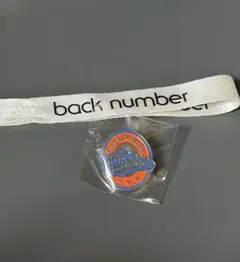 back number ファンクラブ限定 ピックキーホルダー - メルカリ