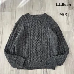 LL Bean フィッシャーマンニット アランニット セーター M グレー