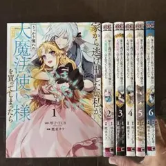 2025年最新】家から逃げ出したい私が、うっかり憧れの大魔法使い様を