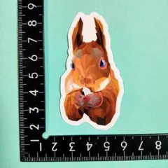 防水ステッカー 【ぢ08】 小動物 リス 万華鏡 食事中 栗鼠 squirrel