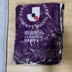 2026年最新】Jリーグブランケットの人気アイテム - メルカリ