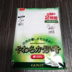 グンゼ Tシャツ