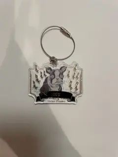 ジョジョの奇妙な冒険 イギー アクリルキーホルダーのサムネイル