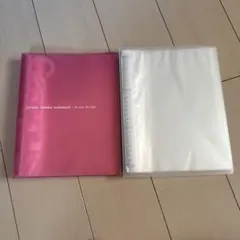 Item thumbnail for item 69255db1-c143-41ea-9251-0b4e3f24a0d8