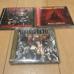 2026年最新】dying fetusの人気アイテム - メルカリ