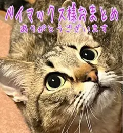 ベイマックス様おまとめページ