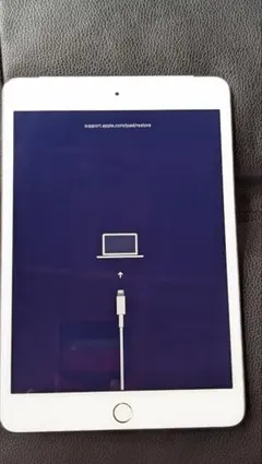 iPad mini 4 本体（128GB )（ジャンク・部品取り用）