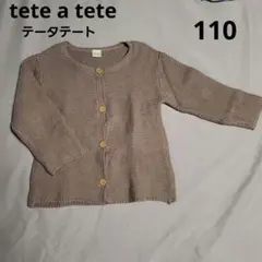 テータテート 110