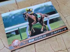 ゴールドアリュール　トレーディングカード