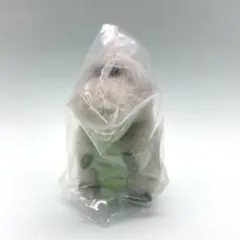 ワーリーフレンズ フロッキーフィギュア ワーリー