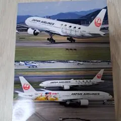 嵐　JAL 写真 2枚
