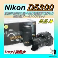 運動会・紅葉！美品⭐超望遠レンズキット⭐ Nikon D5300 ⭐一眼レフ