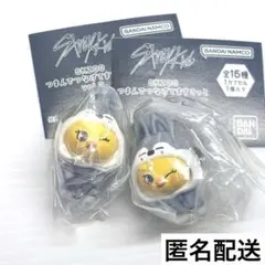 StrayKids SKZOO つまんでつなげてますこっと　ポガリ　カニカン