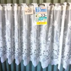 Item thumbnail for item c81e5008-20e4-42e7-8764-da463d1cfa13