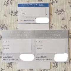 商船三井フェリークーポン5000円＋クルーズ割引券2枚 さんふらわあのサムネイル