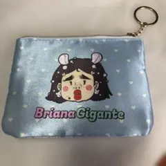 Briana Gigante サテンポーチ