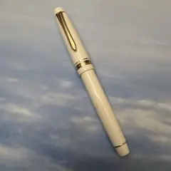 プラチナ万年筆 文具館コバヤシオリジナル 御前桜 EF - メルカリ