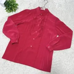 【DANA PARIS ダナパリ】 長袖 ブラウス (9) ピンク