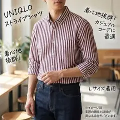 ユニクロ エクストラファインコットン ストライプシャツ L ワイン 長袖 美品